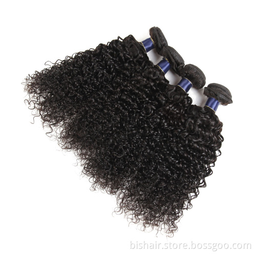 BIS kinky curly wave bundles the length 8-30 inch remy hair bundles raw virgin human free sample Brazilian cuticle aligned hair